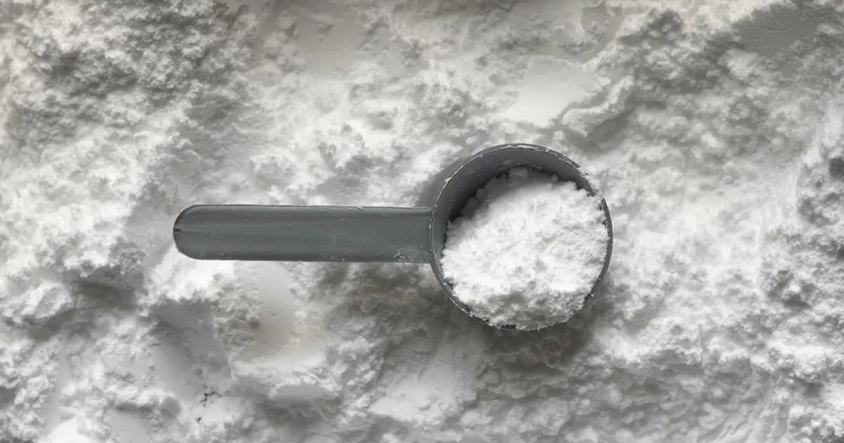 A gray scoop filled with white creatine monohydrate powder