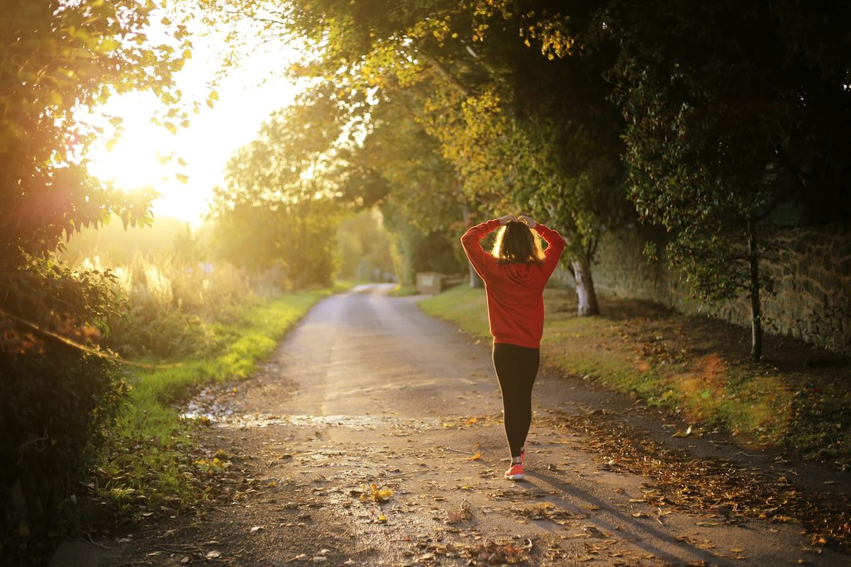 A person walking on a tree-lined path